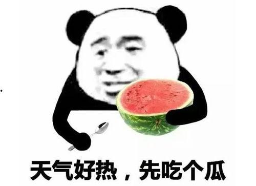 吃瓜表情说明什么,揭秘网络社交中的窥探与娱乐
